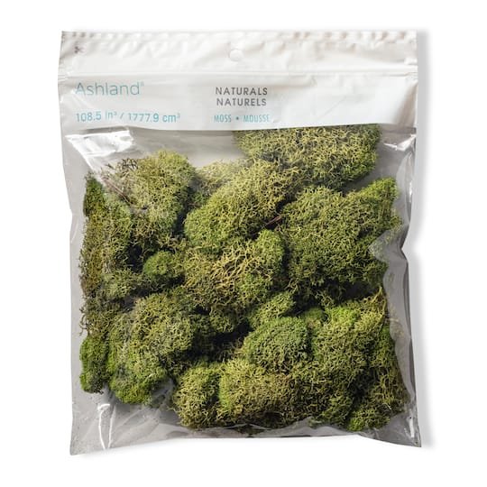 Reindeer Moss by Ashland